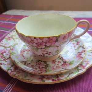 SHELLEY -3-PIECE -CUP, SAUCER & SALAD PLATE-FINE BONE CHINA (ENGLAND) "MAY TIME"